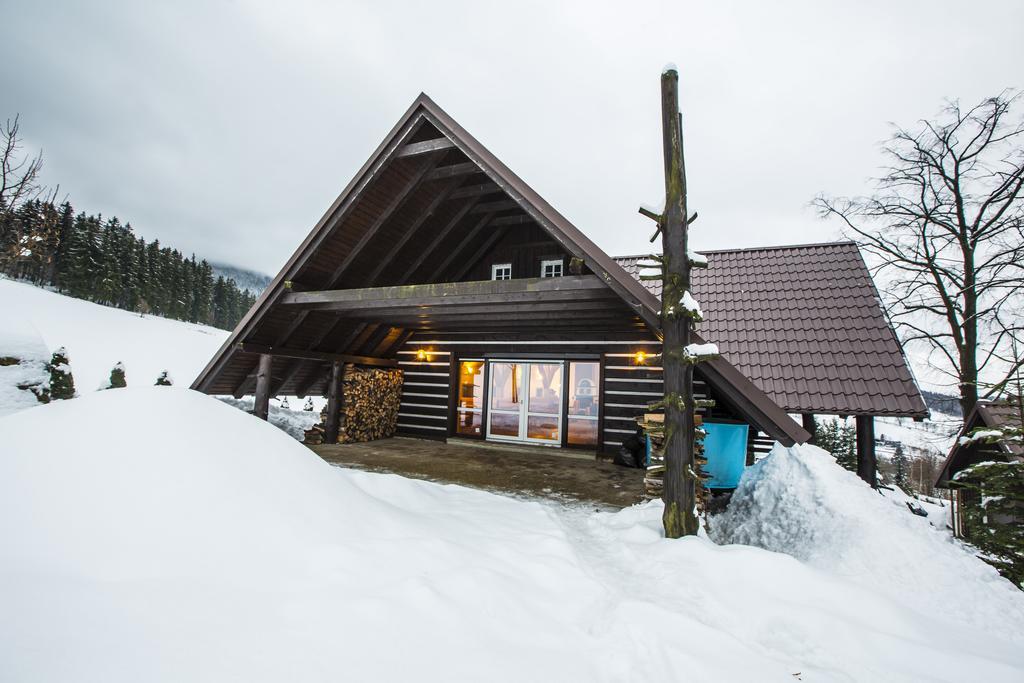 Chata Pod Lipami Otel Rokytnice nad Jizerou Dış mekan fotoğraf