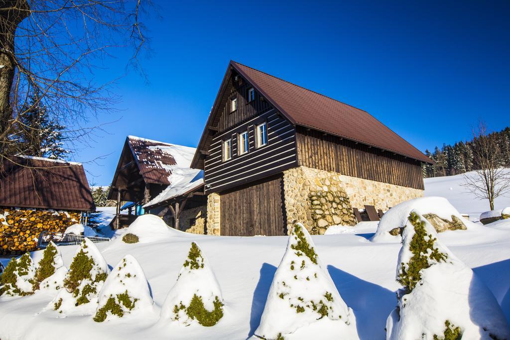 Chata Pod Lipami Otel Rokytnice nad Jizerou Dış mekan fotoğraf